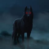 Black_Shuck