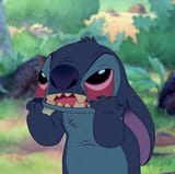 frustrated stitch