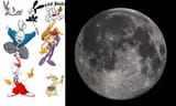 rabbits and moon