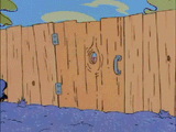 ed hole