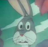 bugs concerned