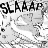 cat slaaap