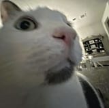 1699860397745