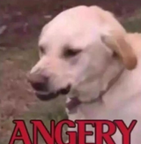 Angery