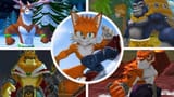 Taiwan Coolfox