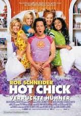the-hot-chick-german-movie-poster[1]