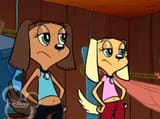whores