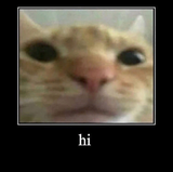 1750343643500
