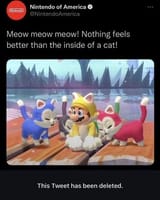 Nintendo cat insides