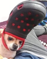 hat