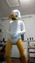 Duck Sway_thumb.jpg