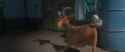 brick house_thumb.jpg