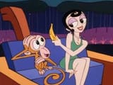 images (10)