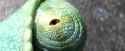Rango.2011_thumb.jpg