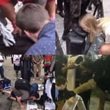 people who call you bootlickers
