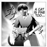 catfine