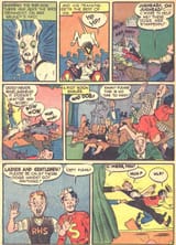 36