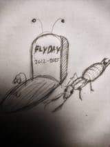 earwig salvation