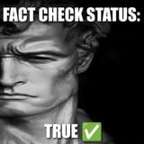 recreated-fact-check-status-true-meme-v0-hqy29o597j0e1
