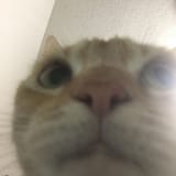 1576046592691