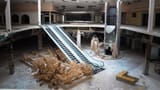 3029341-poster-p-shopping-12