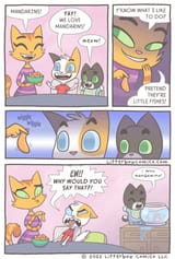 mandarins2