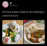 curry bear
