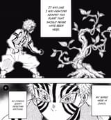 PHOTOSYNTHESIS. PHOTOSYNTHESIS