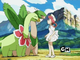 tropius-meganium (1)
