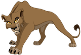 Zira-Picture-DESI7843