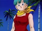 Bulma_(Buu_Saga)