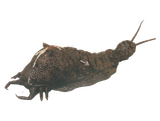 0E5912DB-7006-4EE2-B2DA-BC14CEBFE608