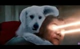 Krypto Snap