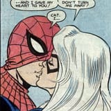 Spider-Man and Black Cat