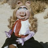 Miss Piggy