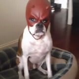 2wEONPtpQbRAePiEa_tAusui5l7lcTAvOwf-lkvtbh4