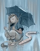 sette_rain