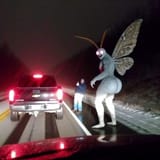 Mothmancakes