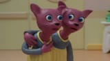 twins