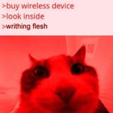 wireless secret