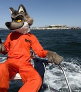 FB_IMG_1753143262819