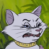 aristocringe