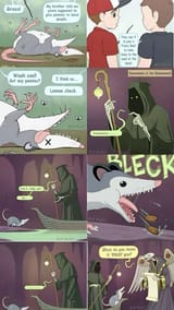 FB_IMG_1753146657895