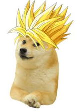 DOGEku