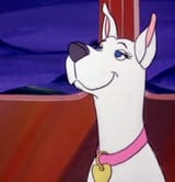 Scooby Dee 3