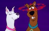 Scooby Dee 5