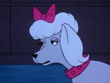Dog Puppet