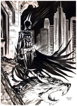 Cass447