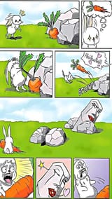 FB_IMG_1731604549437