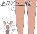 FB_IMG_1731504958001